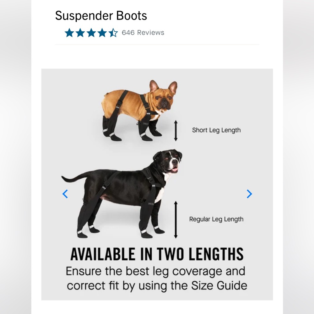 Canada Pooch Suspender Boots | Black | Sz 6